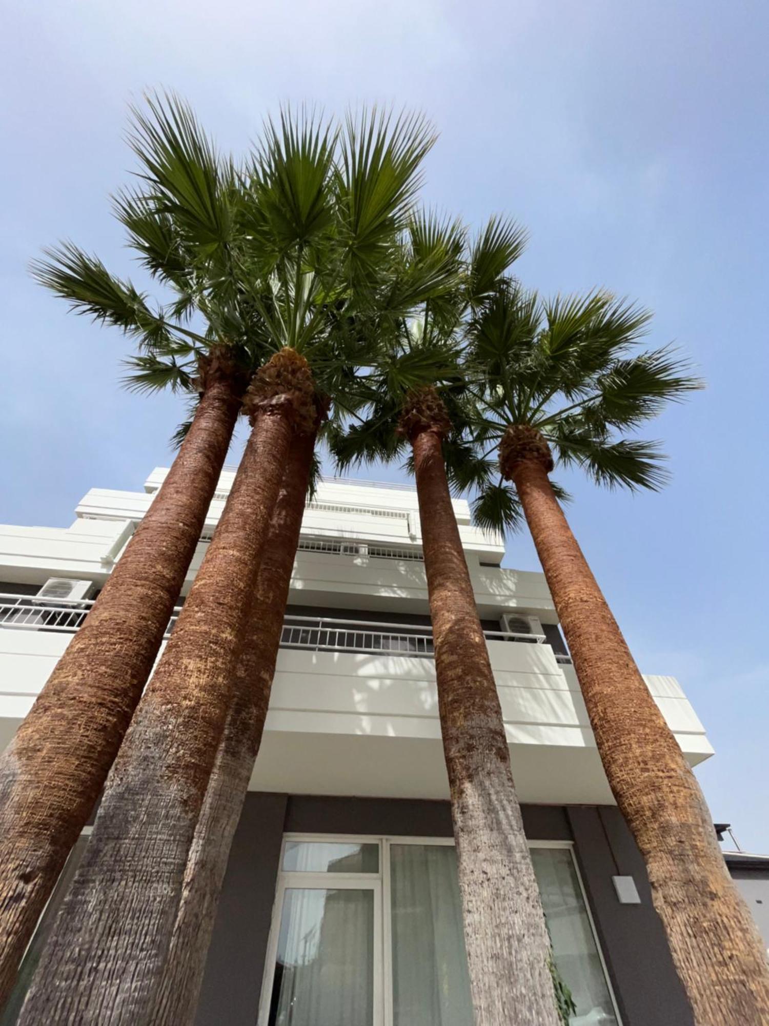 Hotel Mediterraneo Martinsicuro Esterno foto